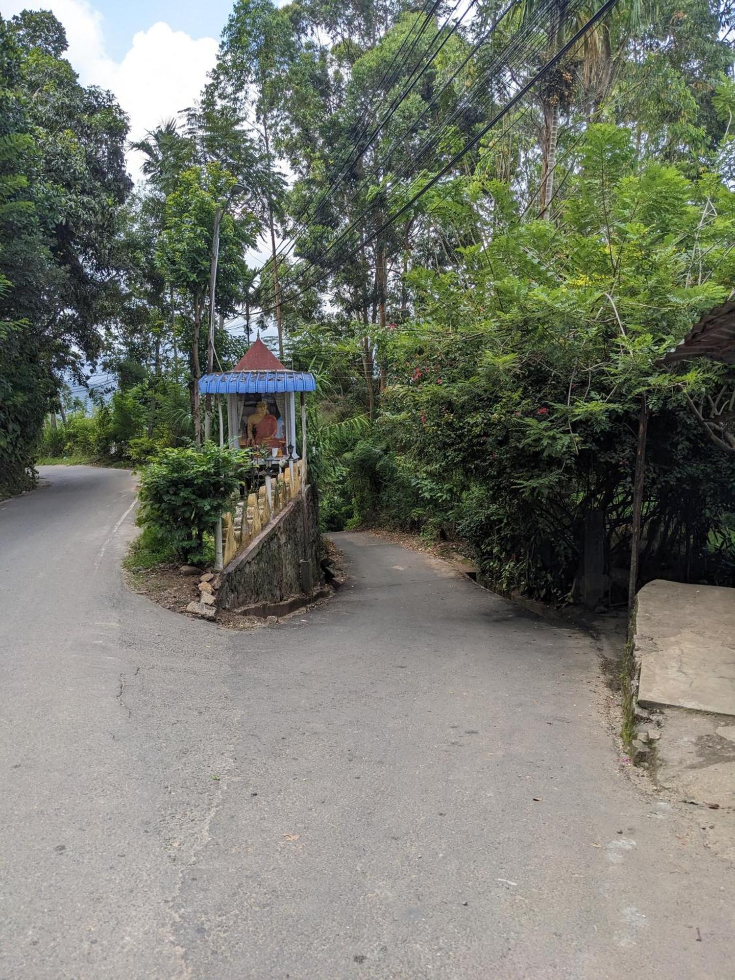 Cozy Cottage 埃拉 外观 照片